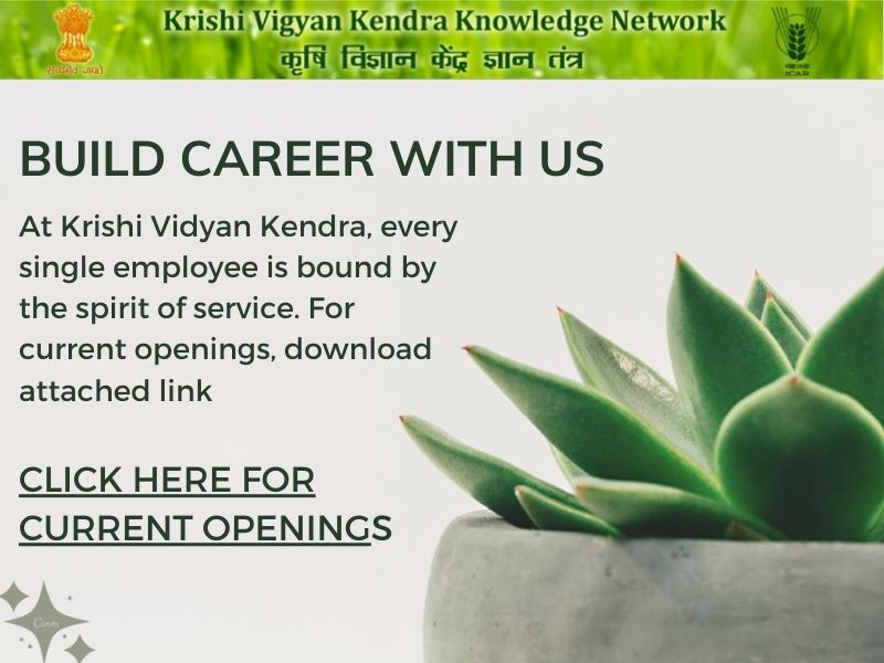 KVK Current Opening